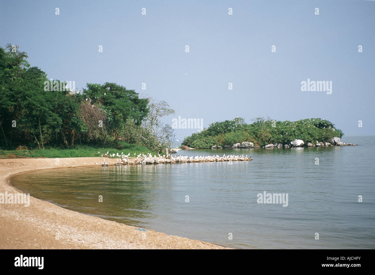 The beach of Banda Island one of the Ssese Islands in Lake Victoria