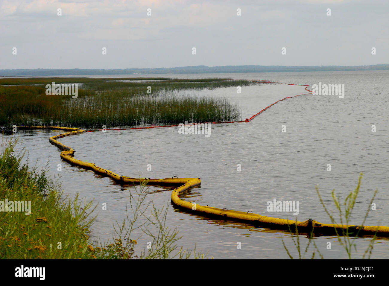 Oil spill environmental disaster Stock Photo Alamy