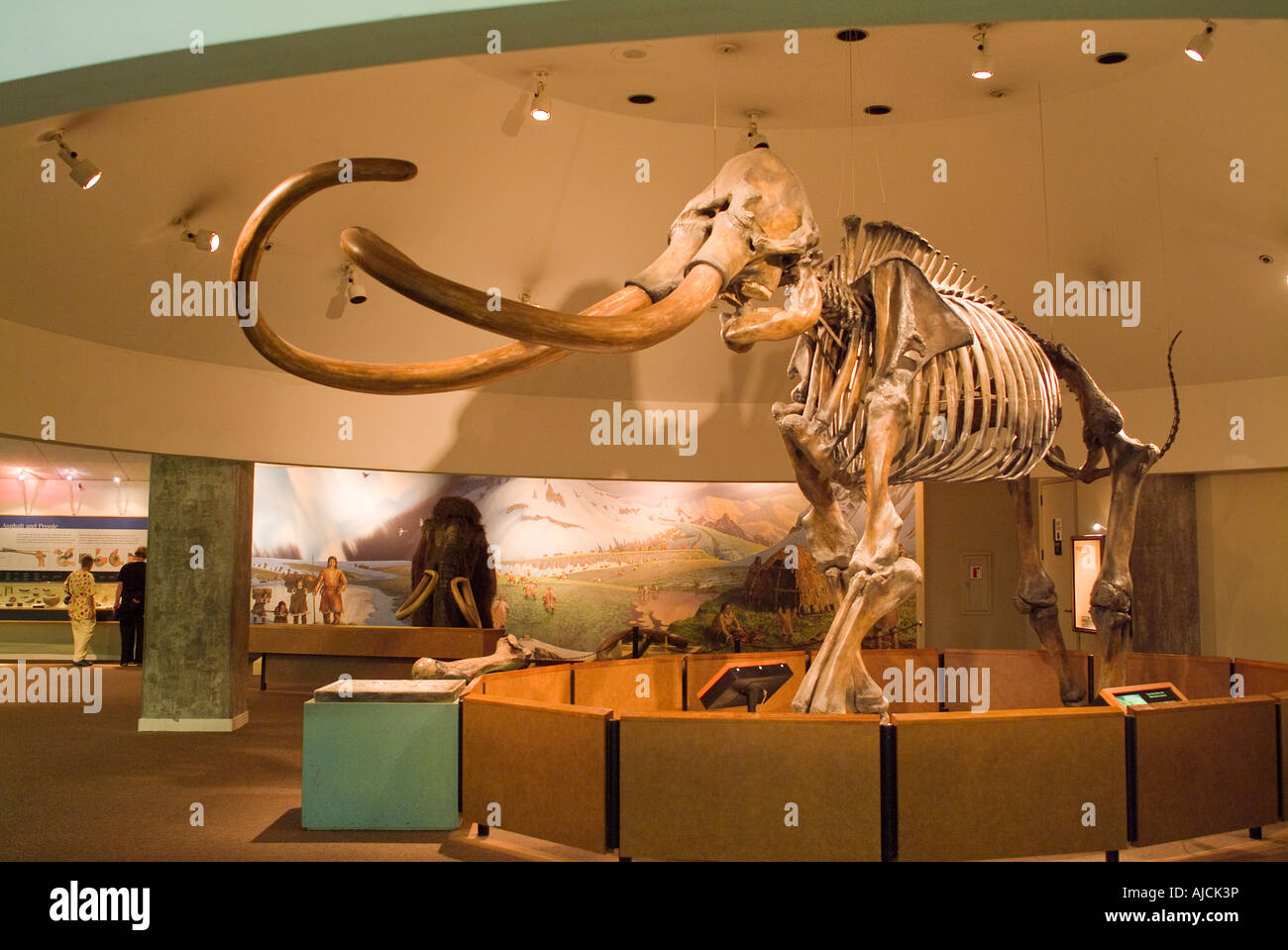 Road Trip Costa Oeste EUA 3 Semanas: Itinerário + Dicas, image size:1300x959