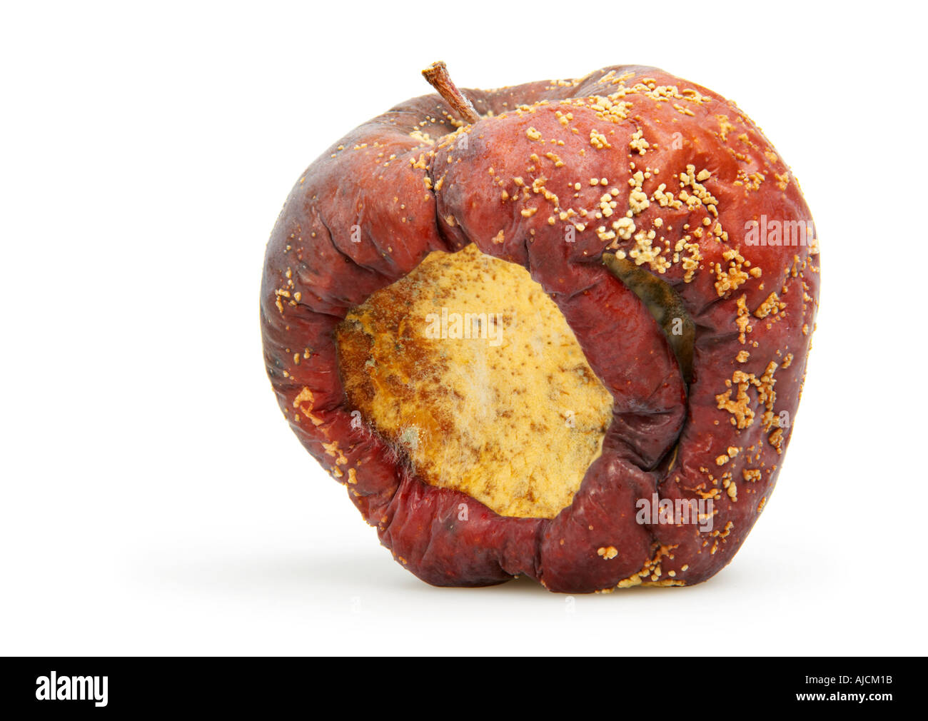 Rotton Apple High Detail Closeup Spores and mould Stock Photo - Alamy