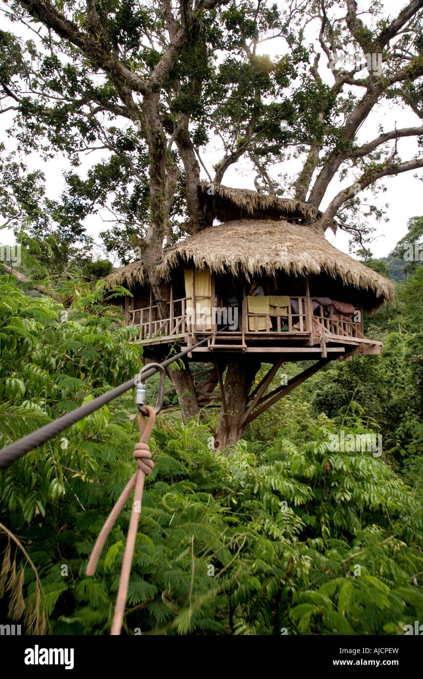 Zip lining from a tree house at The Gibbon Experience near Huay Xai on the Mekong river near the Laos Thai border Stock Photo