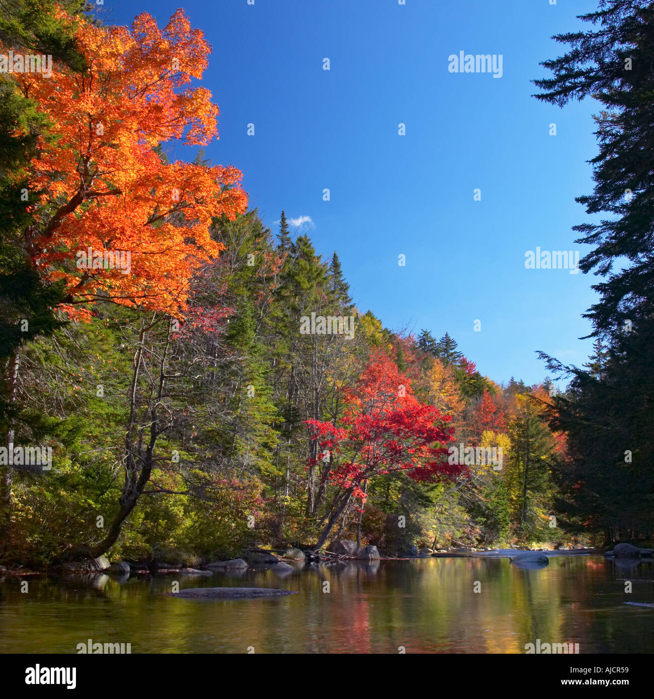 Swift River, White Mountains National Forest, New Hampshire, USA Stock Photo