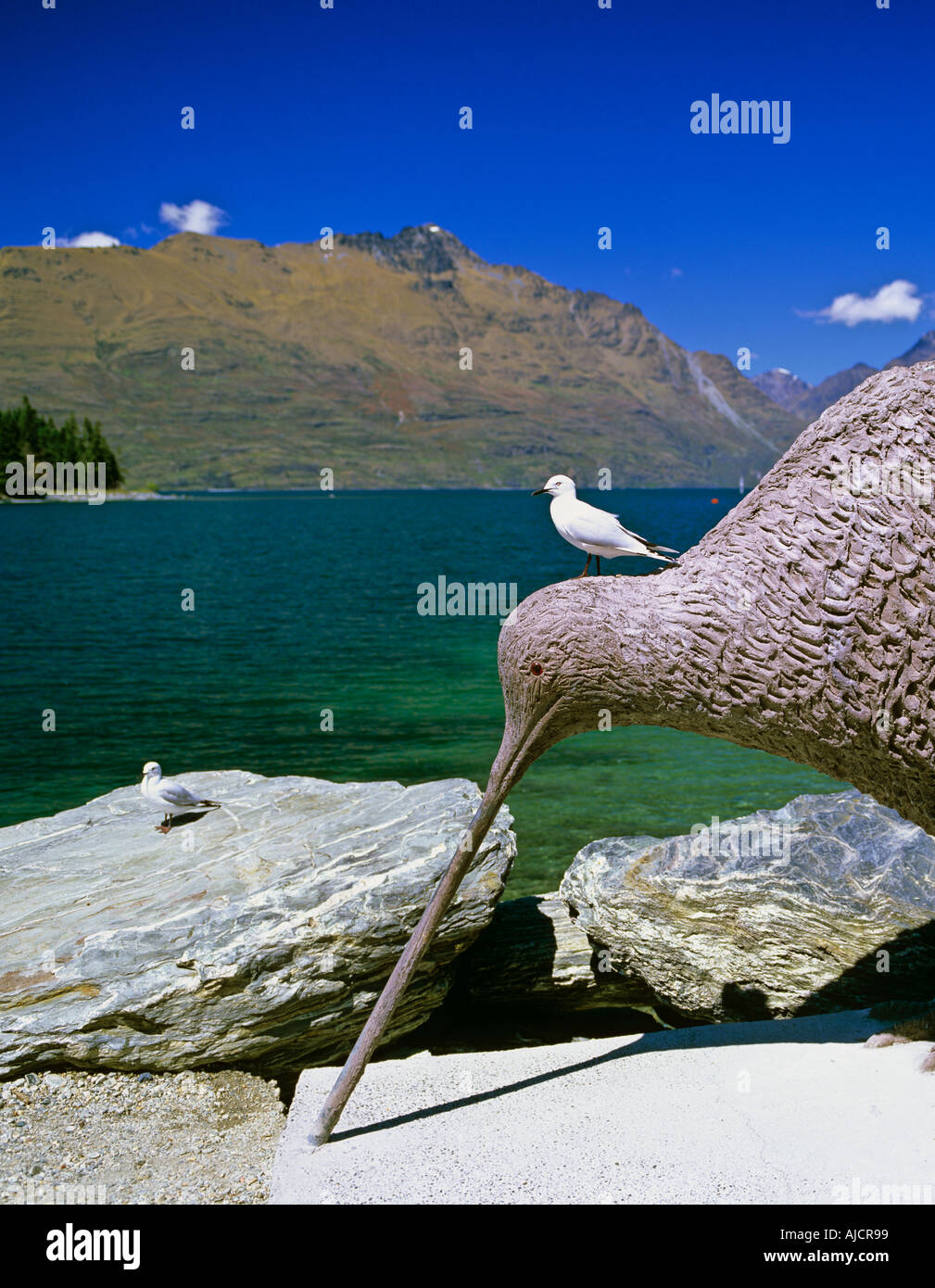 A kiwi statue by the lake of Wakatipu in Queenstown New Zealand Stock Photo Alamy