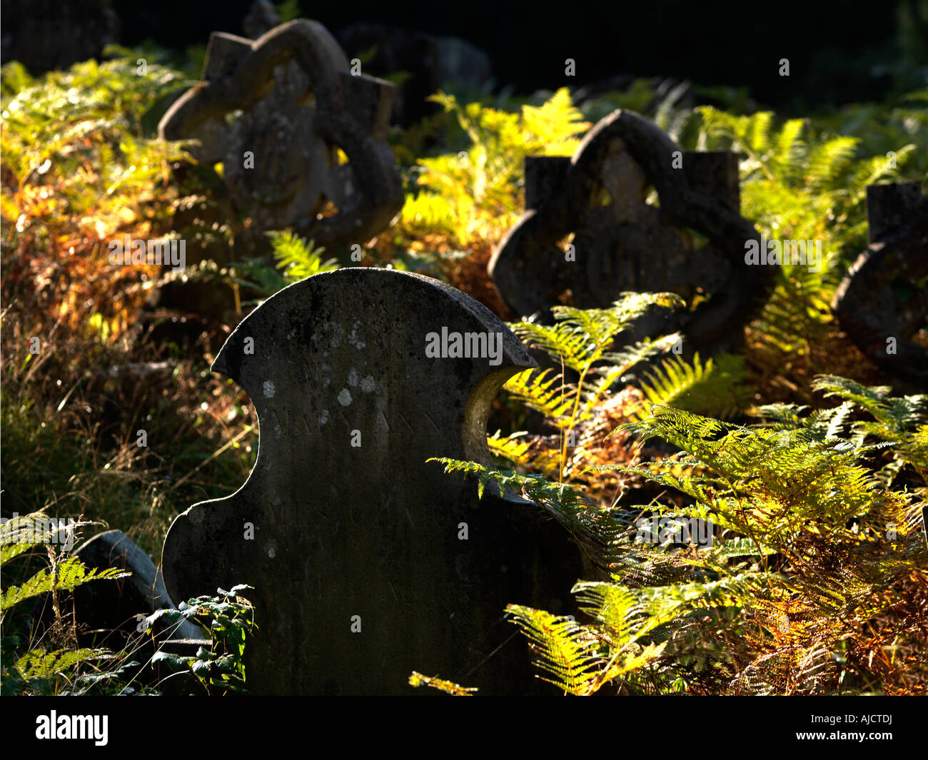 Old Weathered Gravestones and Bracken at Holy Trinity Church Westcott Surrey England Stock Photo