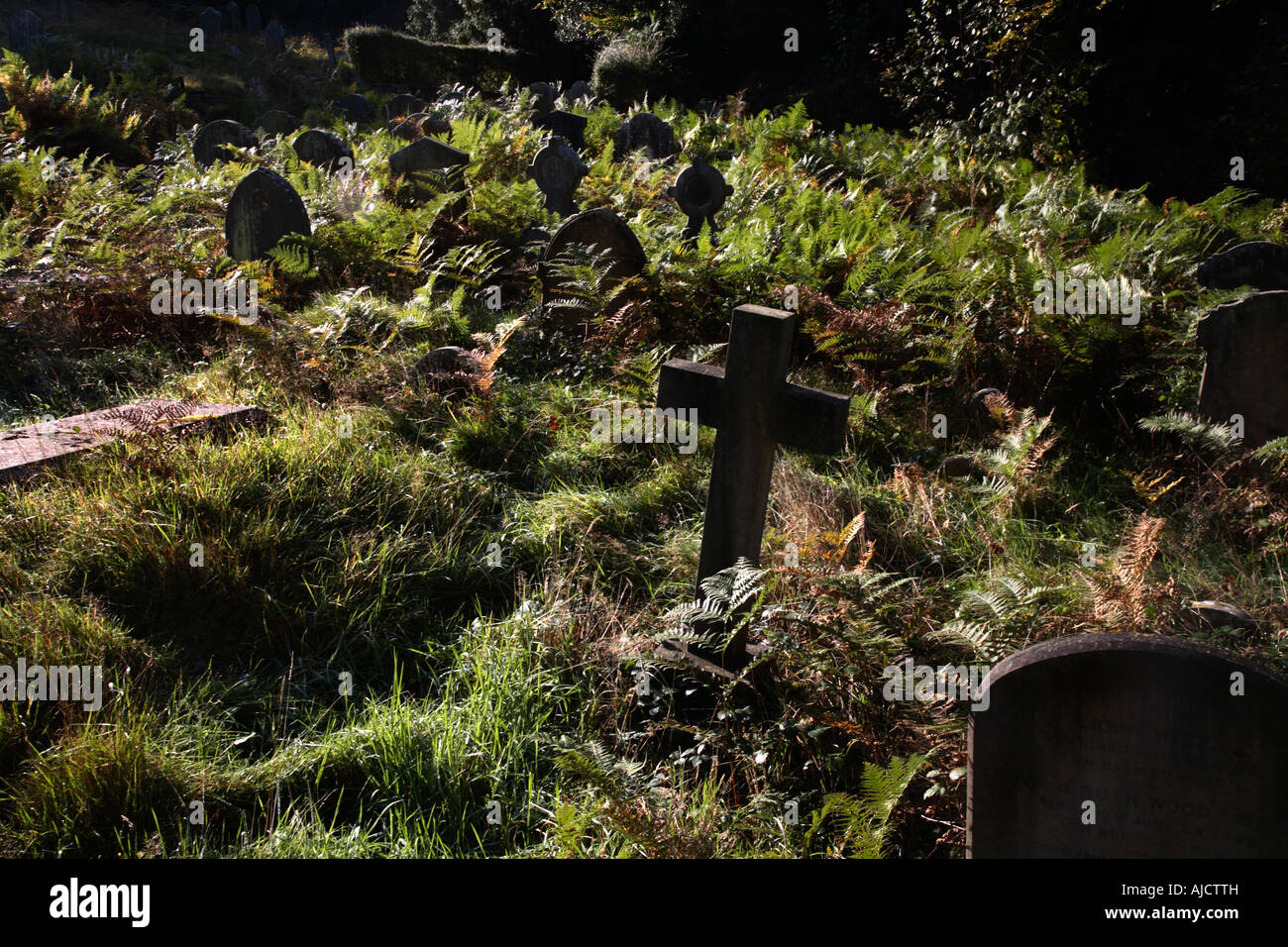 Graveyard Holy Trinity Church Westcott Surrey England Stock Photo