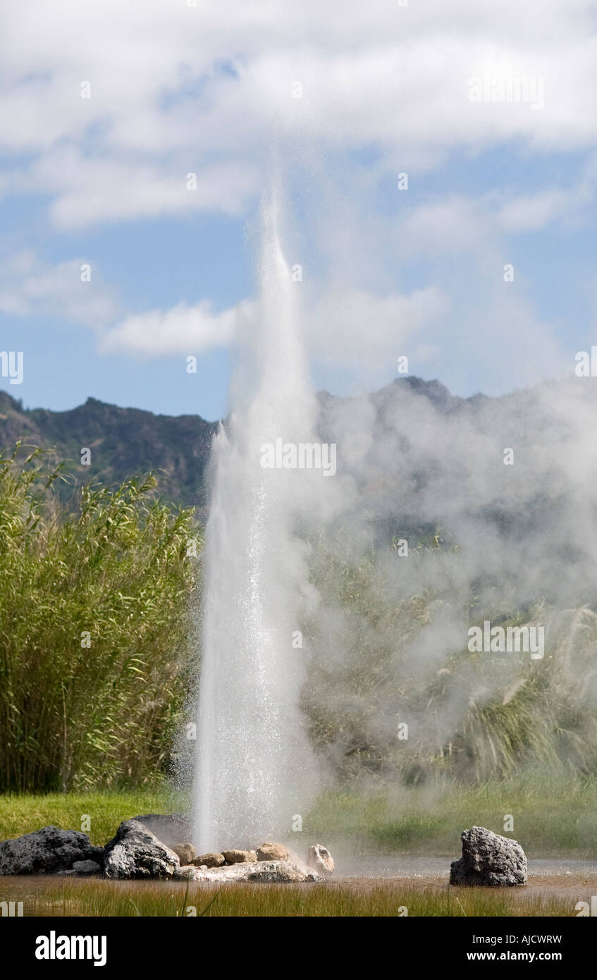 Calistoga's Old Faithful Geyser Stock Photo Alamy