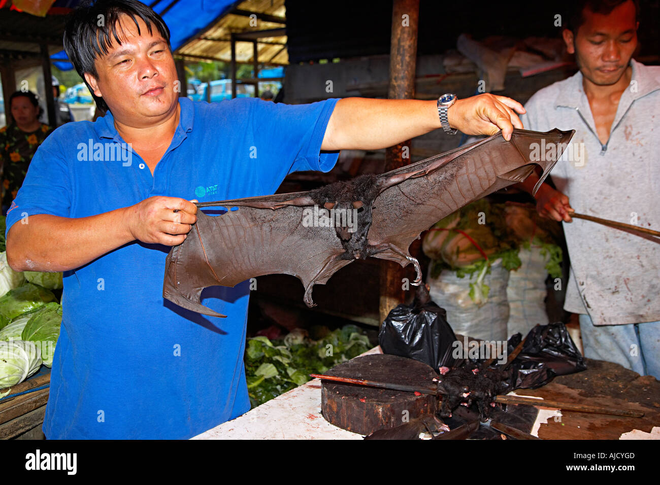 Roast Bat for Sale to Eat, in a market in Sulawesi, Indonesia Stock