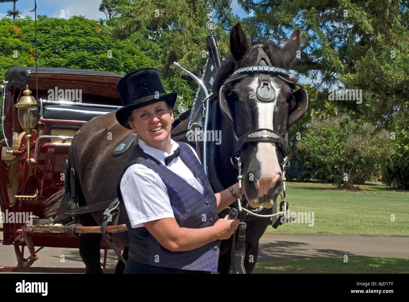 Coach and Driver Stock Photo Alamy