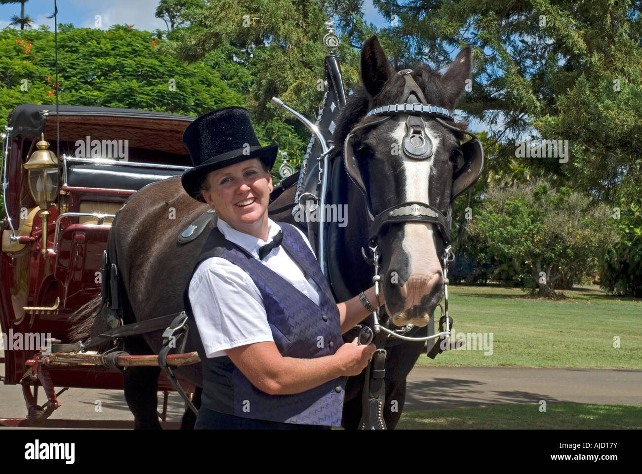 Horse carriage coach driver hi-res stock photography and images - Alamy