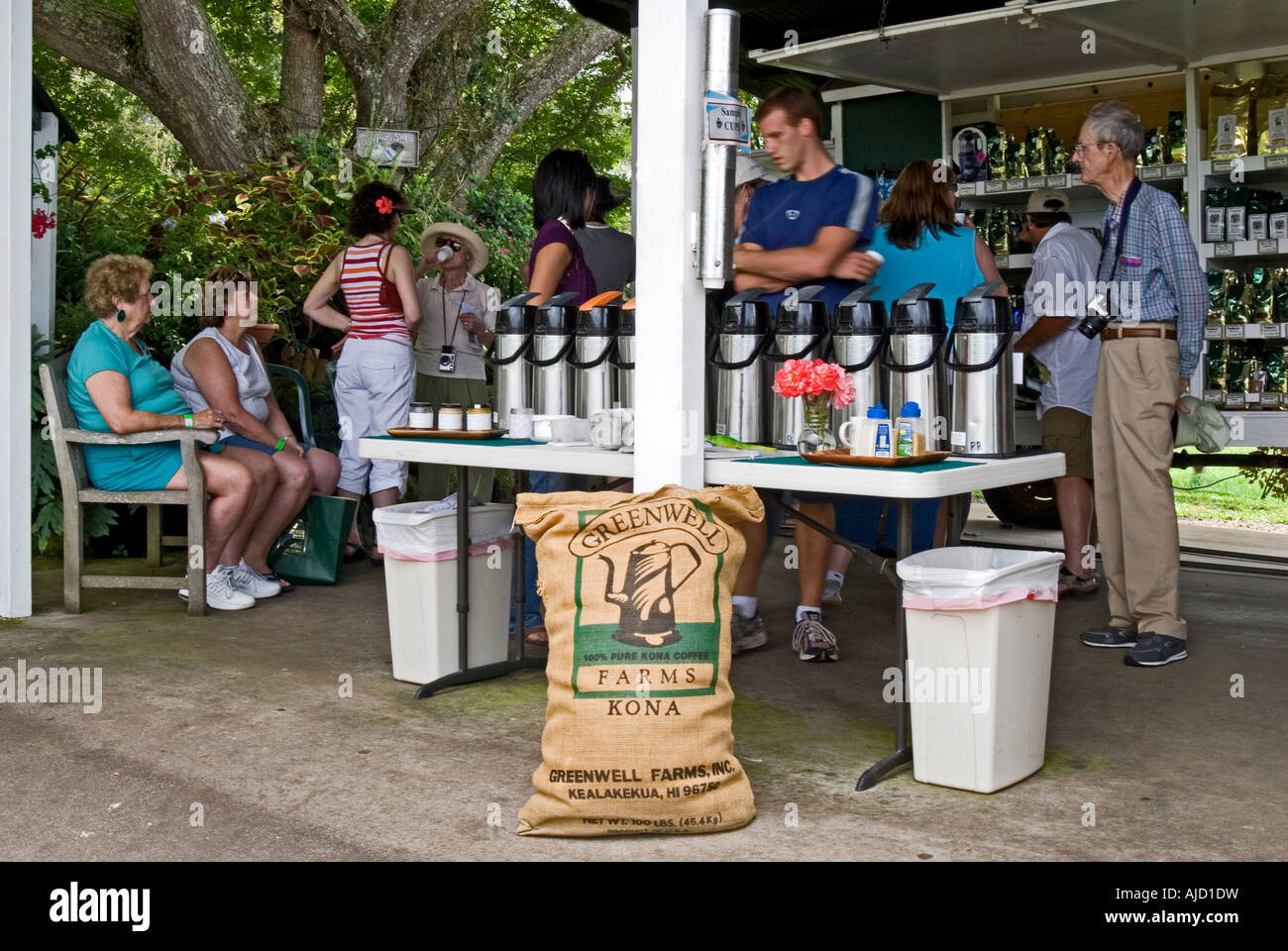 Kona Coffee Plantation Stock Photo Alamy