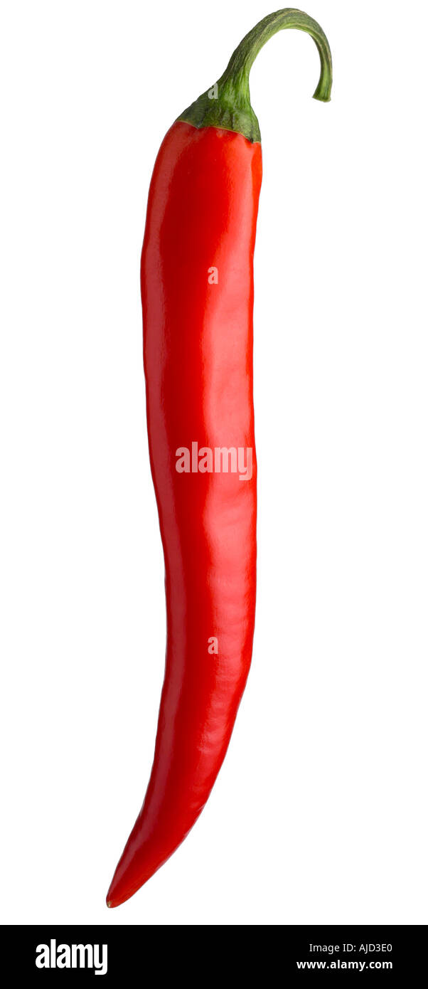 chilli pepper on a white background for cut out Stock Photo - Alamy