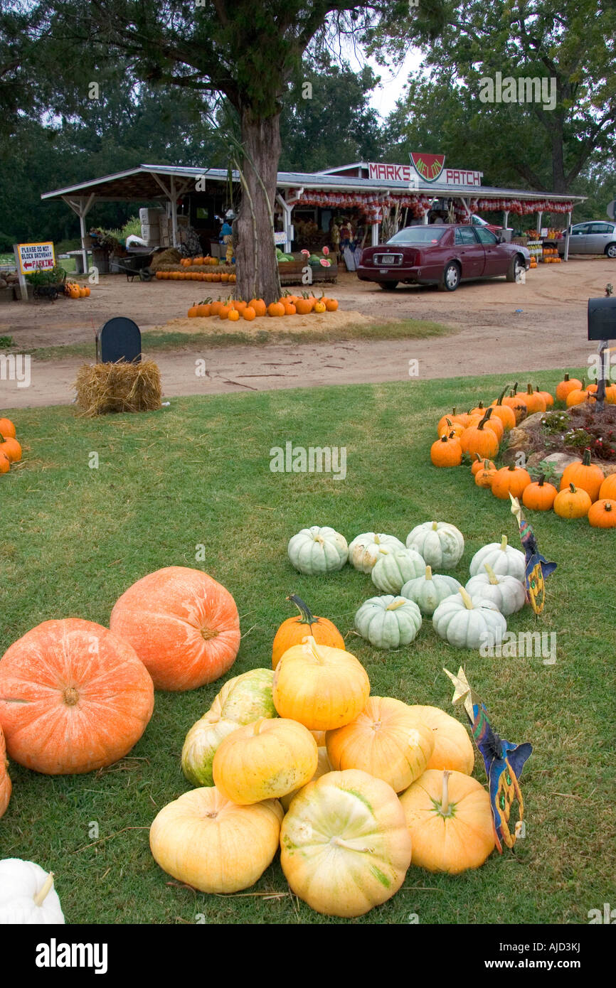 Georgia pumpkins hi-res stock photography and images - Alamy