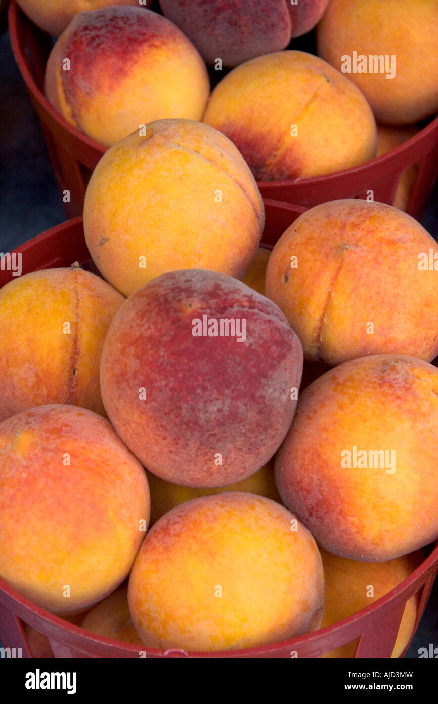 Peaches being sold at a fruit stand near Albany Stock Photo Alamy