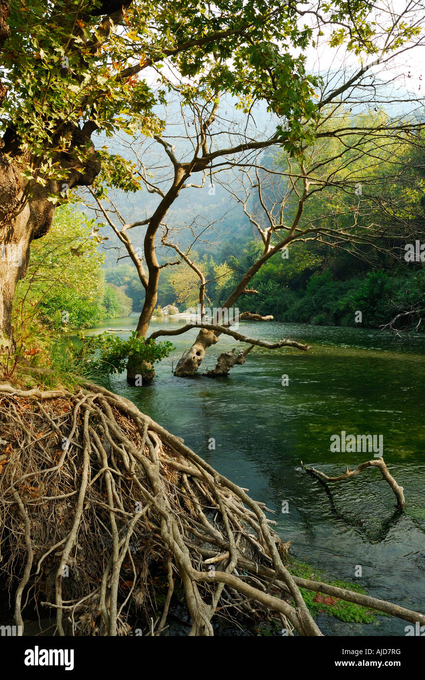 Fast flowing waters of the river Acheron the Greek mythical river Styx Greece Stock Photo