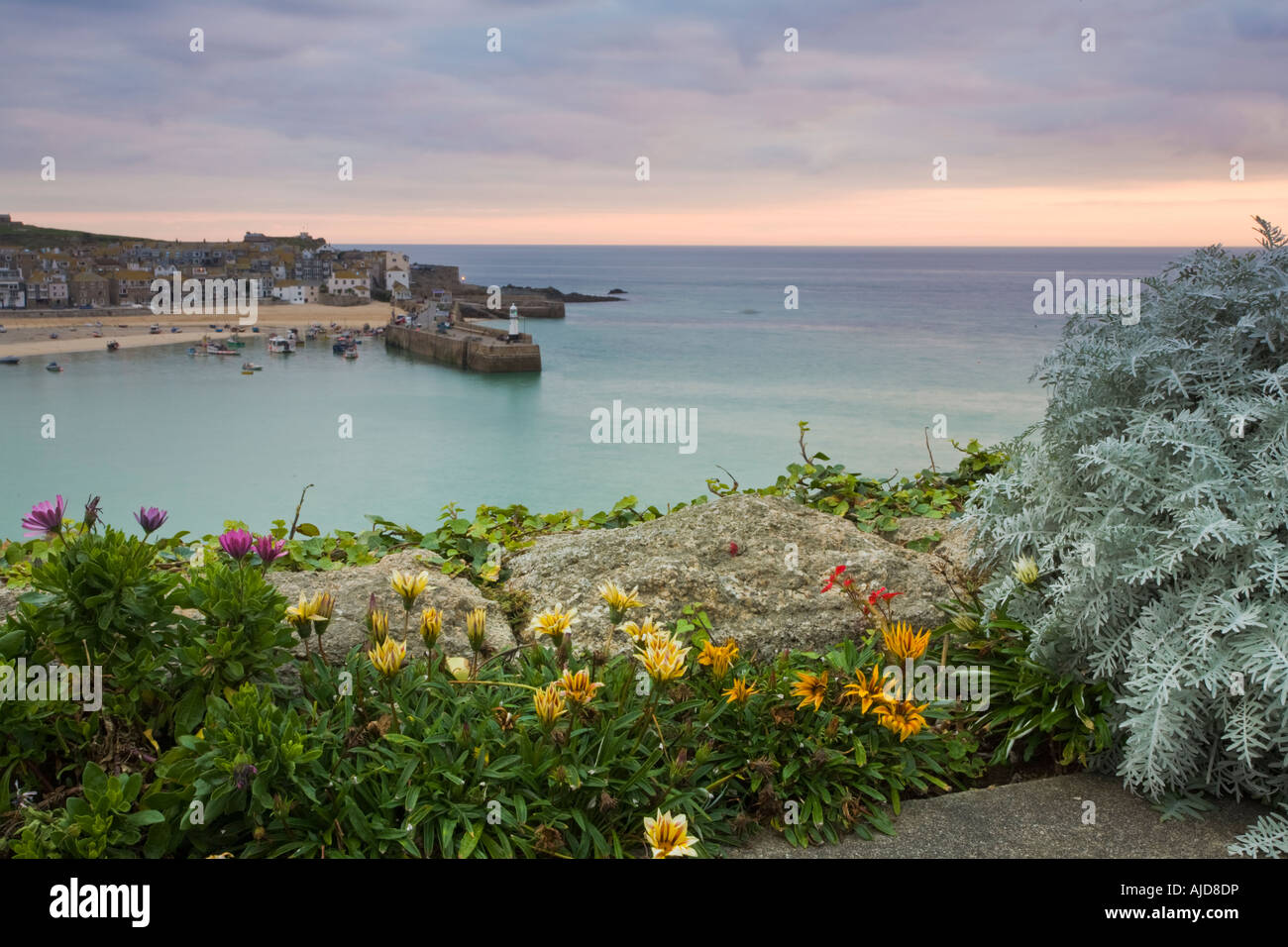Sunrise at St Ives Cornwall showing flowers on the Malakoff Stock Photo