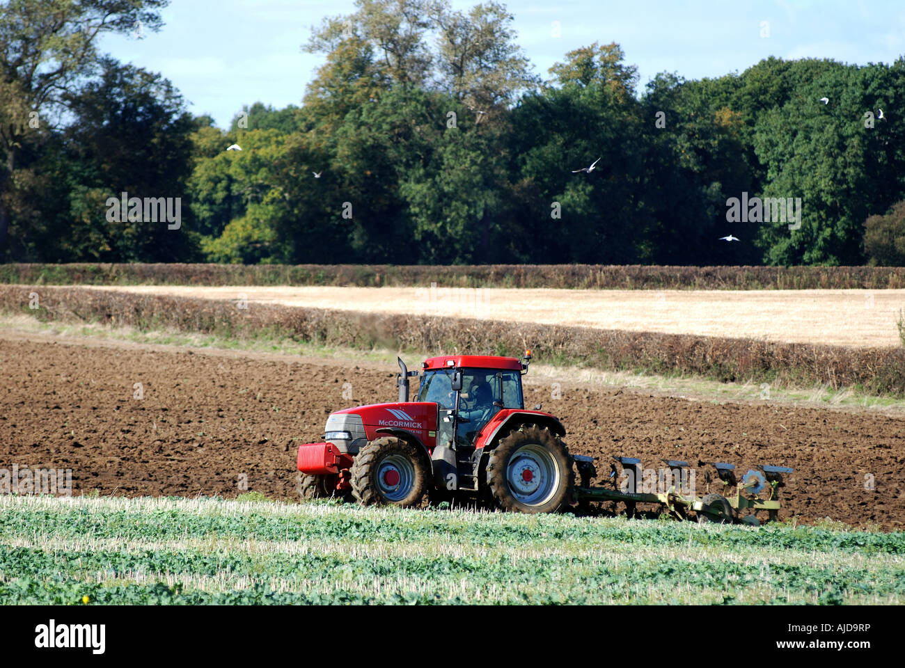 McCormick tractor ploughing field, Warwickshire, England, UK Stock