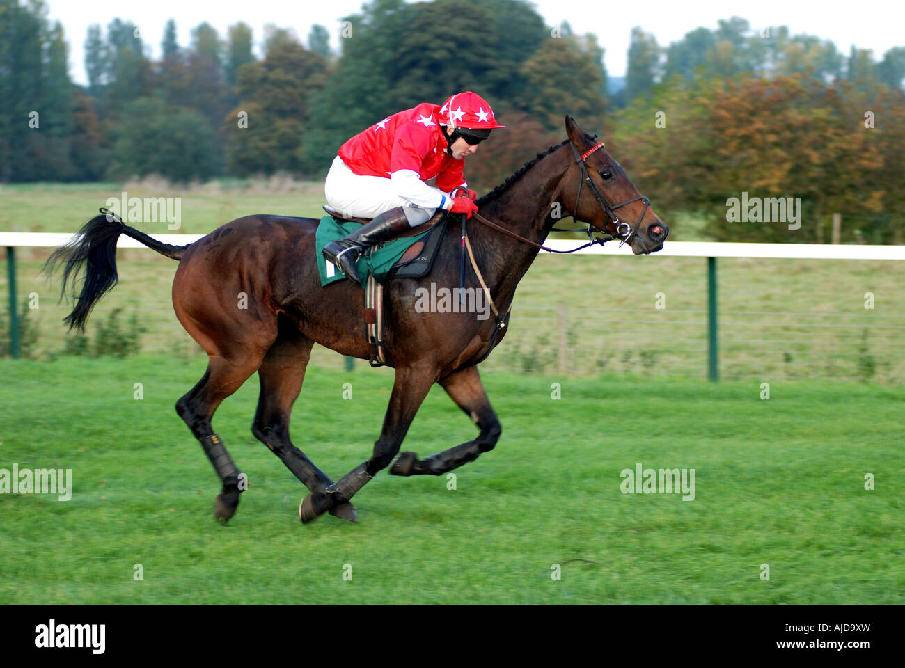 Racehorse running at Towcester Races, Northamptonshire, England, UK Stock Photo