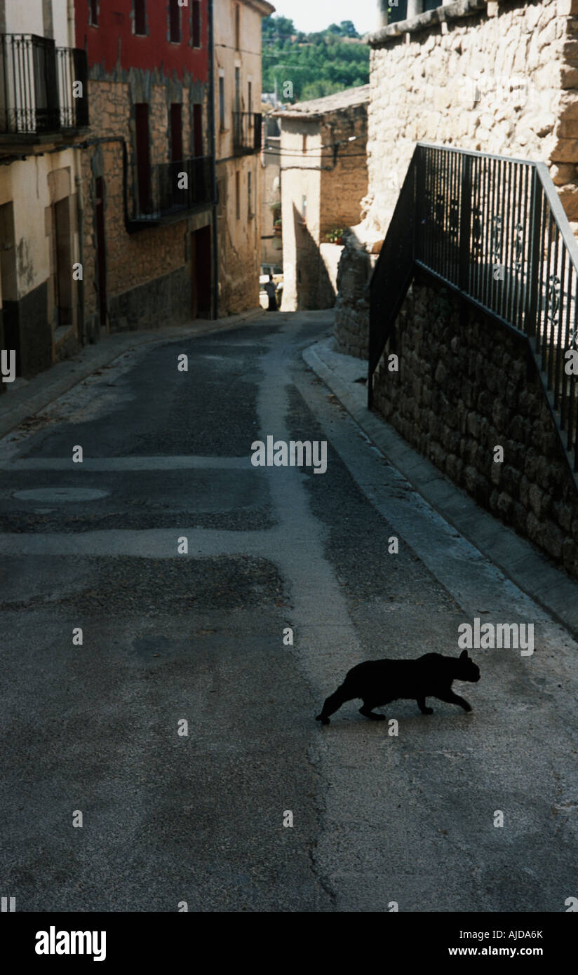 Black cat crossing quiet town road Stock Photo Alamy