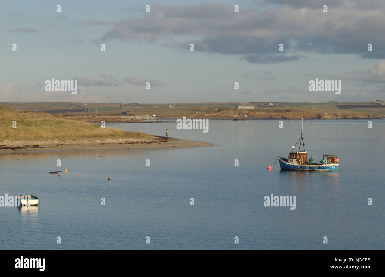 dh  WEDDELL SOUND ORKNEY Man and his dog walking on beach Fishing boat anchored off Glims Holm Stock Photo