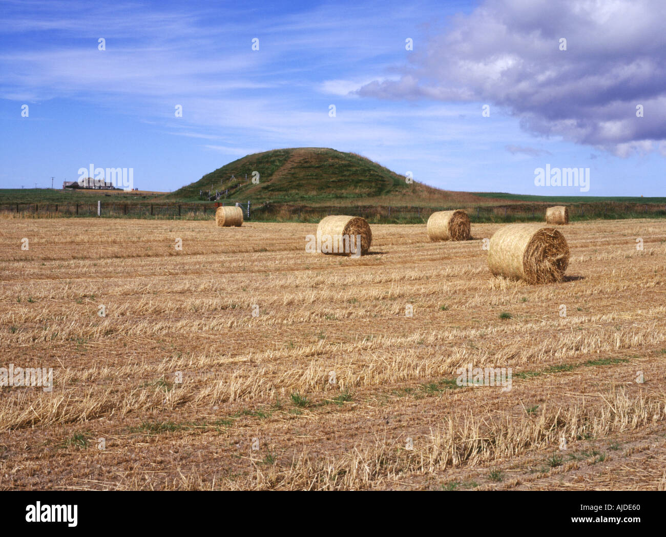 Neolithic Field dh Neolithic burial mound MAESHOWE ORKNEY Field farm bales prehistoric ...