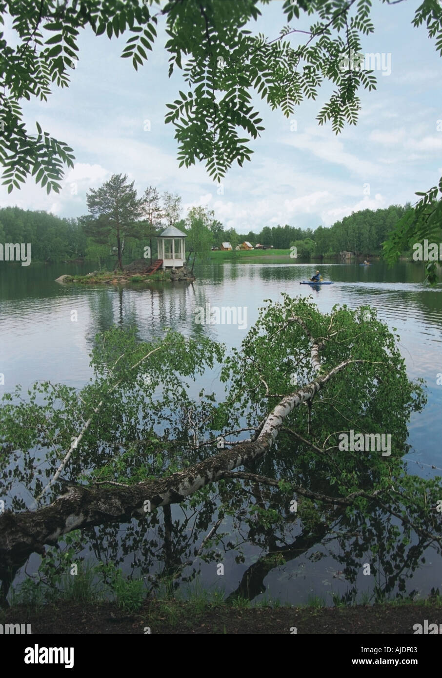 The Aya Lake coast Altai Russia Stock Photo - Alamy