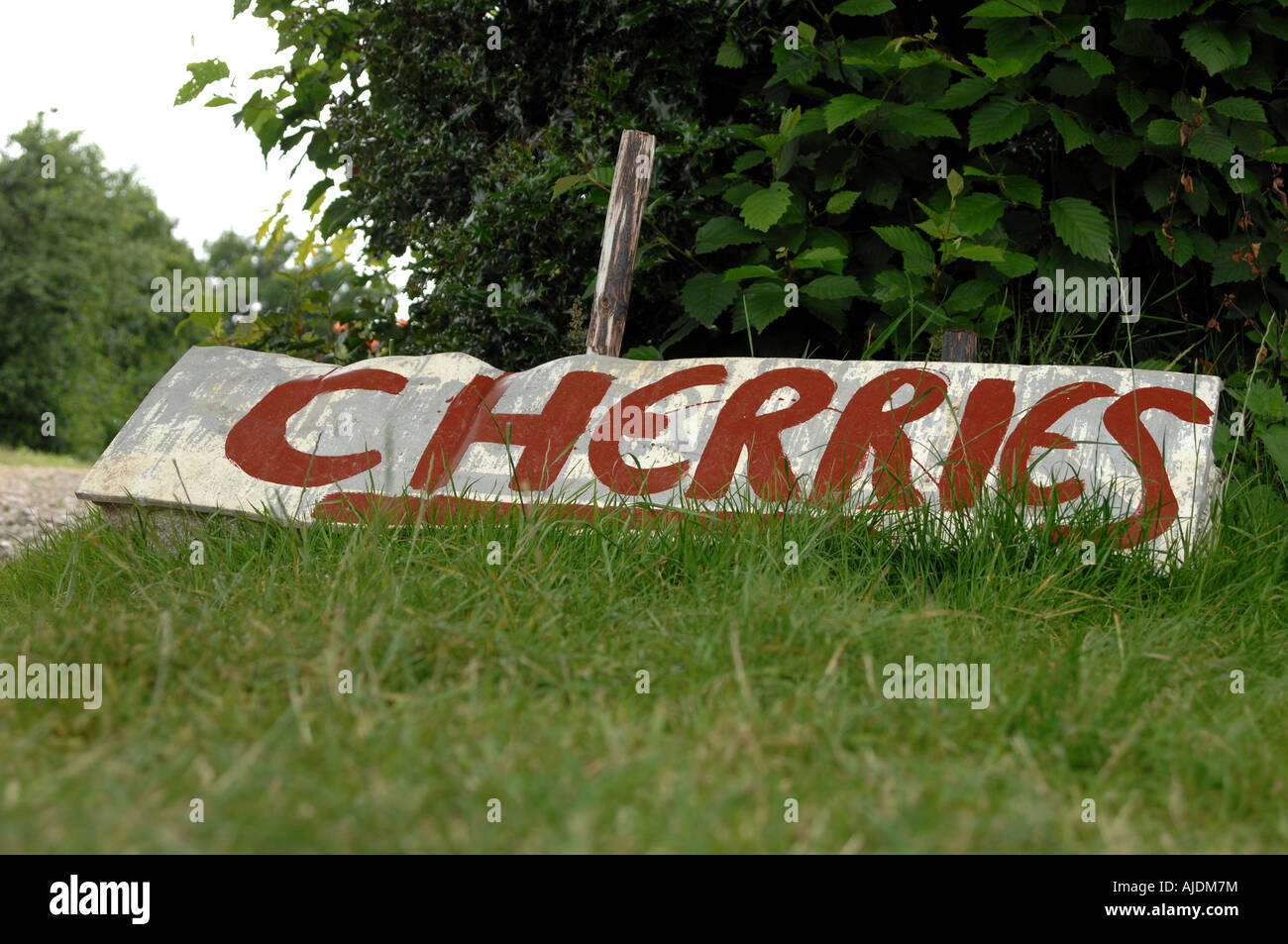 Pick Your Own Stock Photo - Alamy