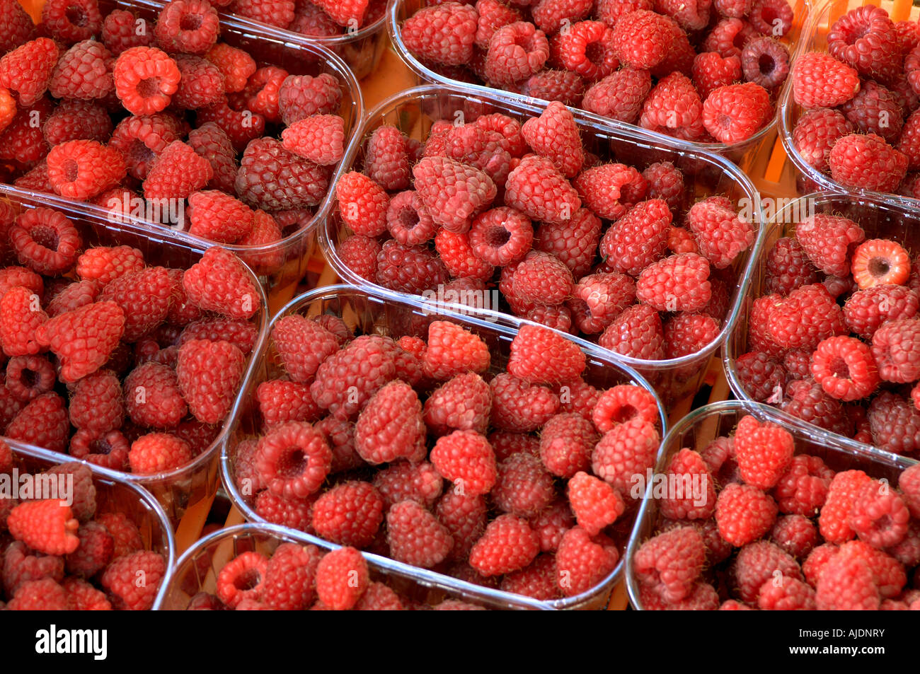 Pick Your Own Stock Photo Alamy
