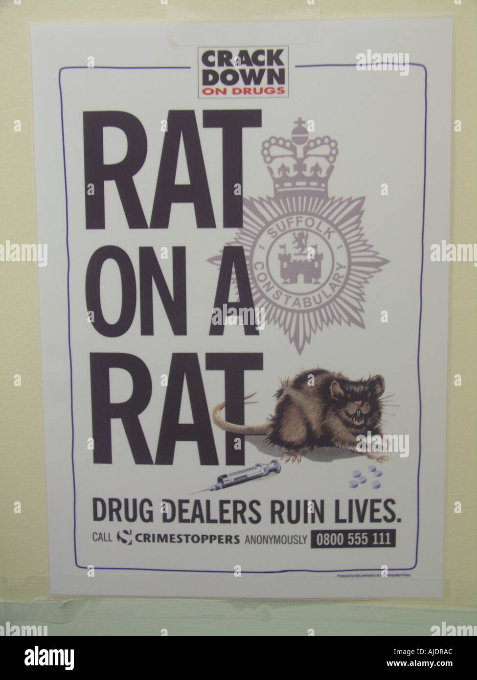 Rat on a rat anti drug poster Stock Photo