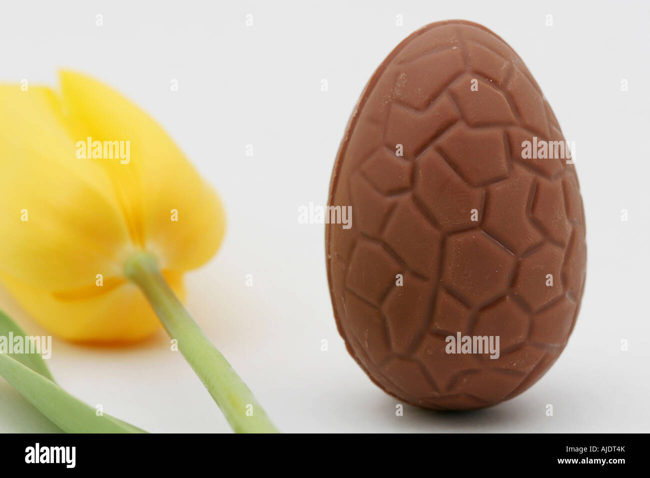 A yellow tulip and a chocolate easter egg Stock Photo - Alamy