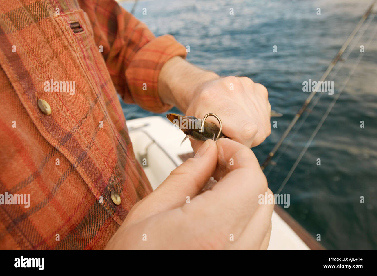 Baiting fish hook hi-res stock photography and images - Alamy