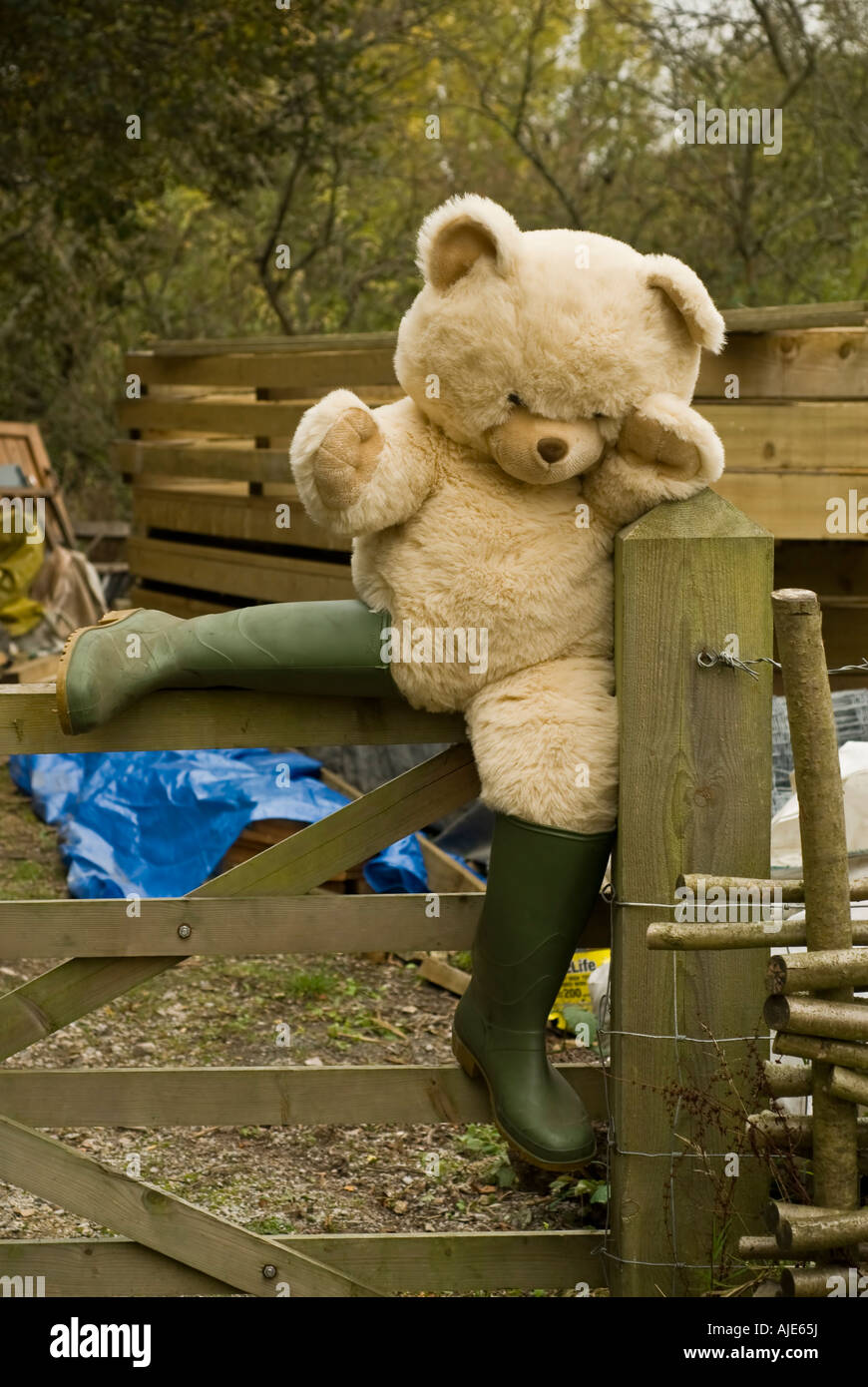 boots teddy bear