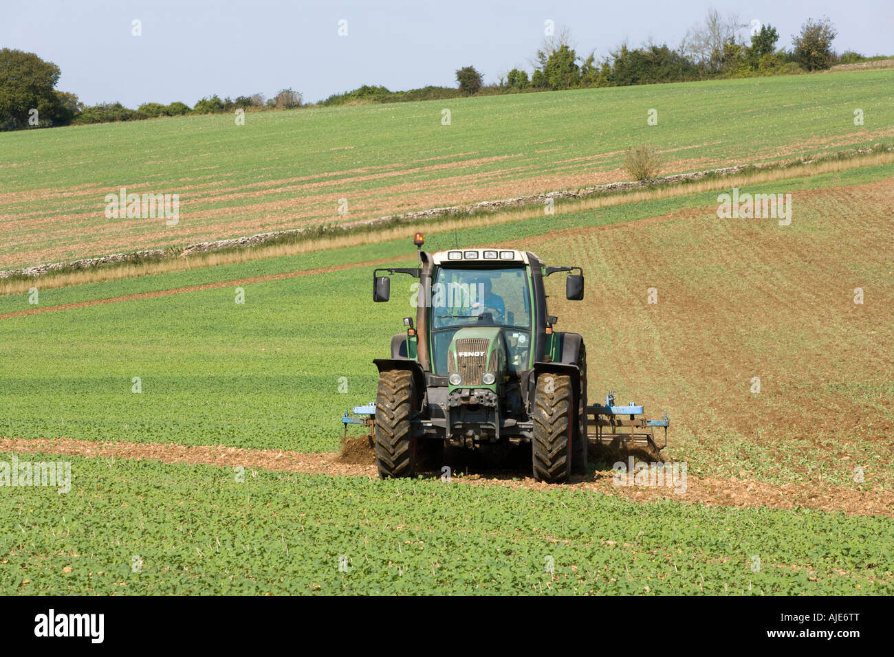 Ploughing in green manure on the Cotswolds near Sapperton, Gloucestershire Stock Photo