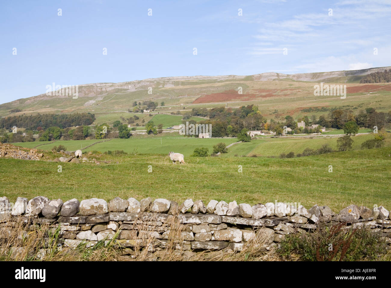 NEWBIGGIN NORTH YORKSHIRE UK View across to small village in Wensleydale with dry stone walls and some of the many stone barns Stock Photo