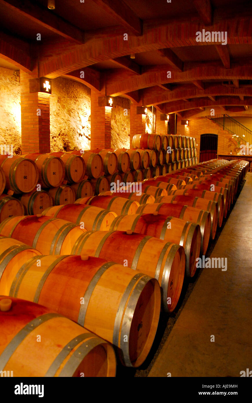 chile, Santa Cruz vineyard wine cellar with wood wine casks, Colchagua