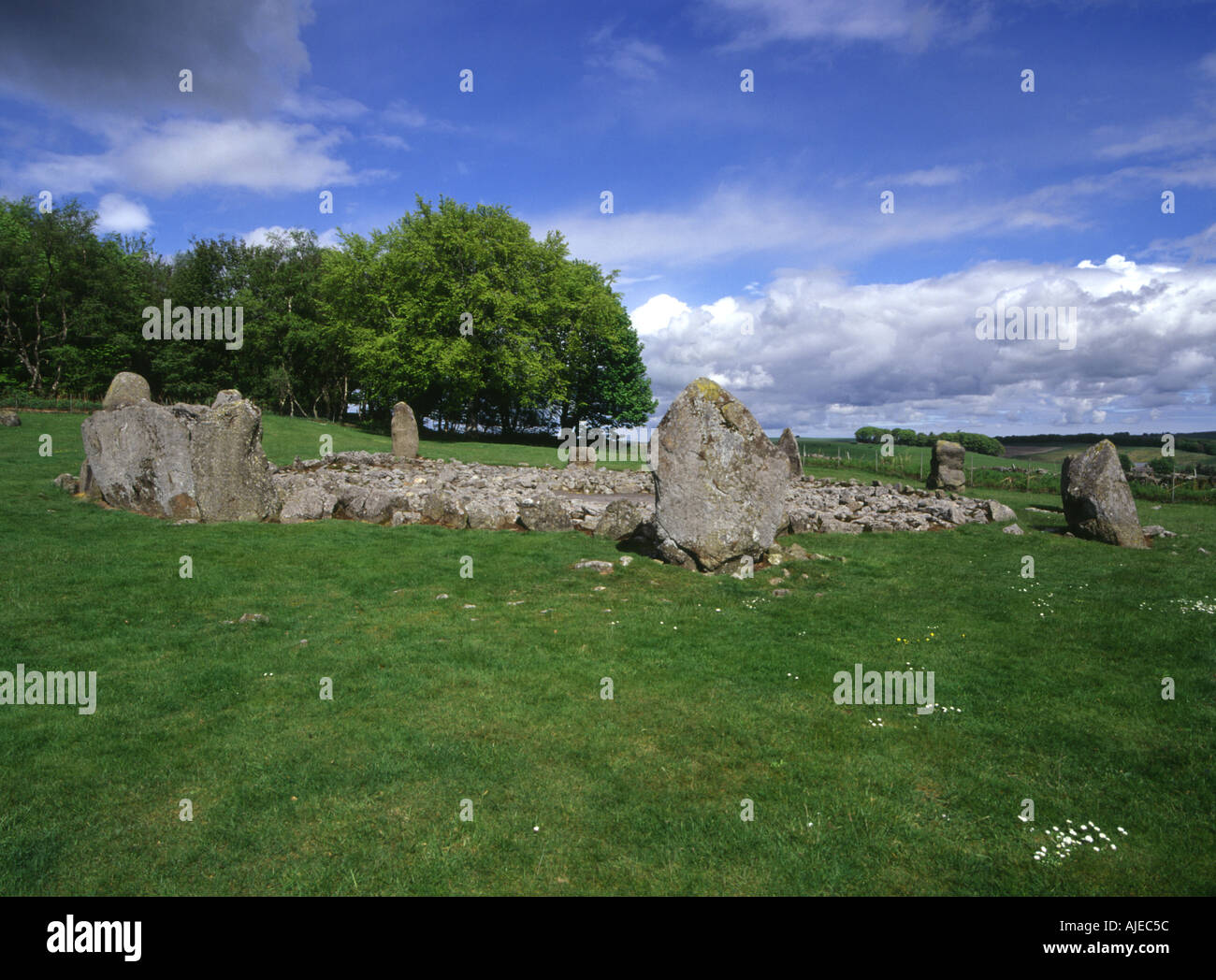 dh Loanhead of Daviot DAVIOT ABERDEENSHIRE Standing stones recumbent stone circle site burial ancient uk bronze age Stock Photo