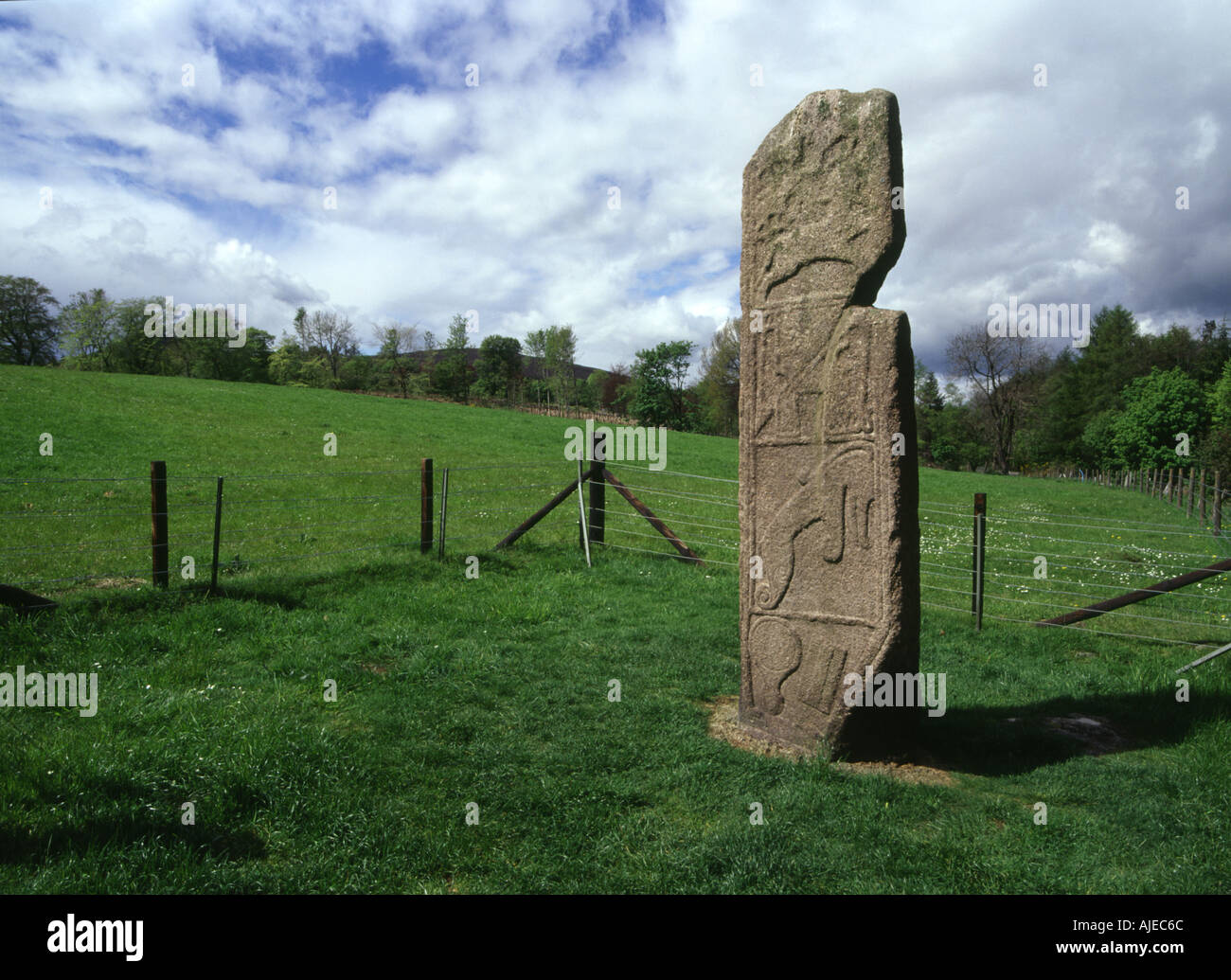 dh Maiden Stone GARIOCH ABERDEENSHIRE Pictish art carving on standing stone Stock Photo