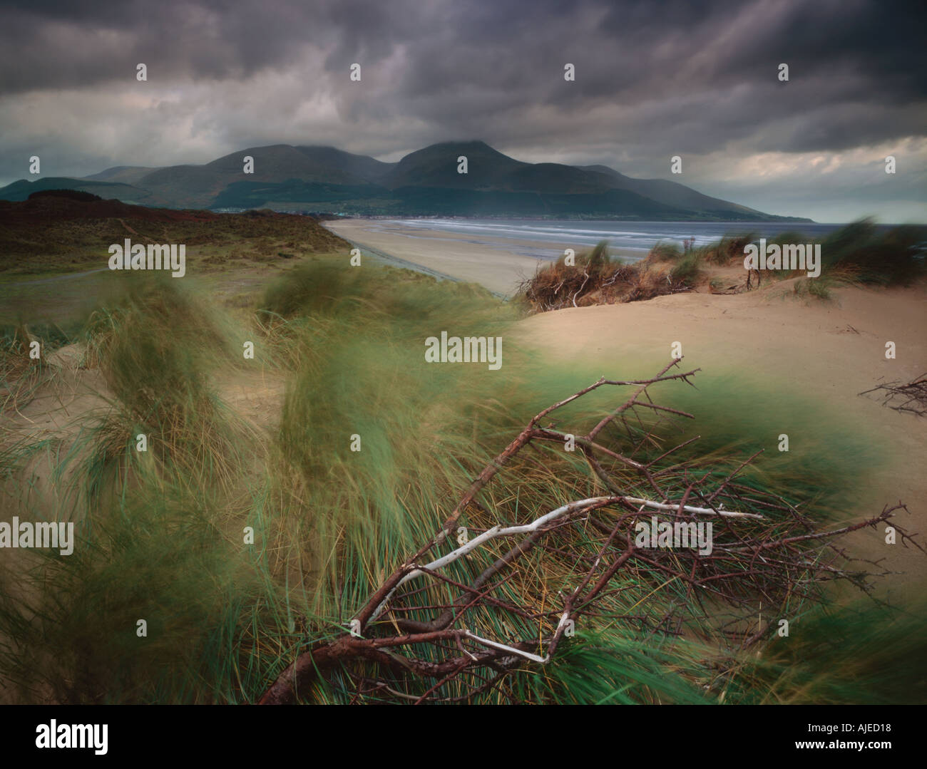 Storm clouds over the Mourne Mountains at the Murlough Nature Reserve