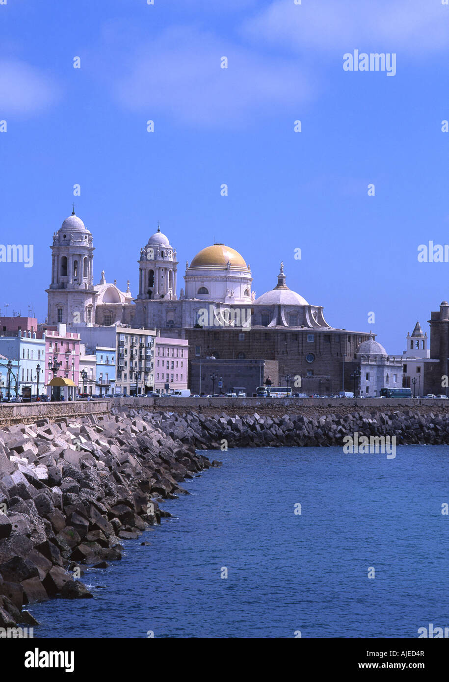 Cathedral and waterfront Cadiz Andalucia Spain Stock Photo