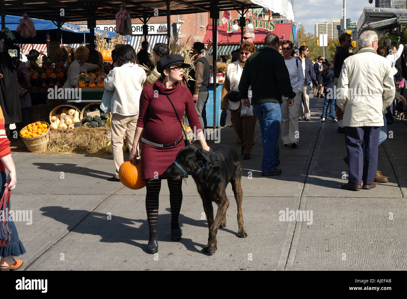 Pregnant woman walking dogs and pumpkin Stock Photo