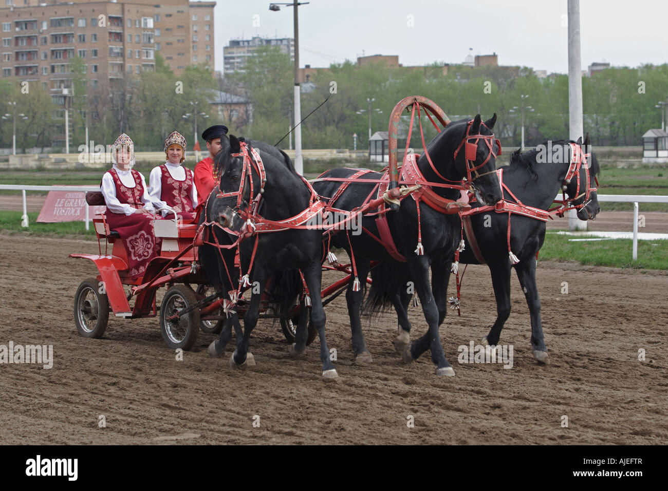 Traditional Russian troika horse-riding  (carriage-and-three) Stock Photo