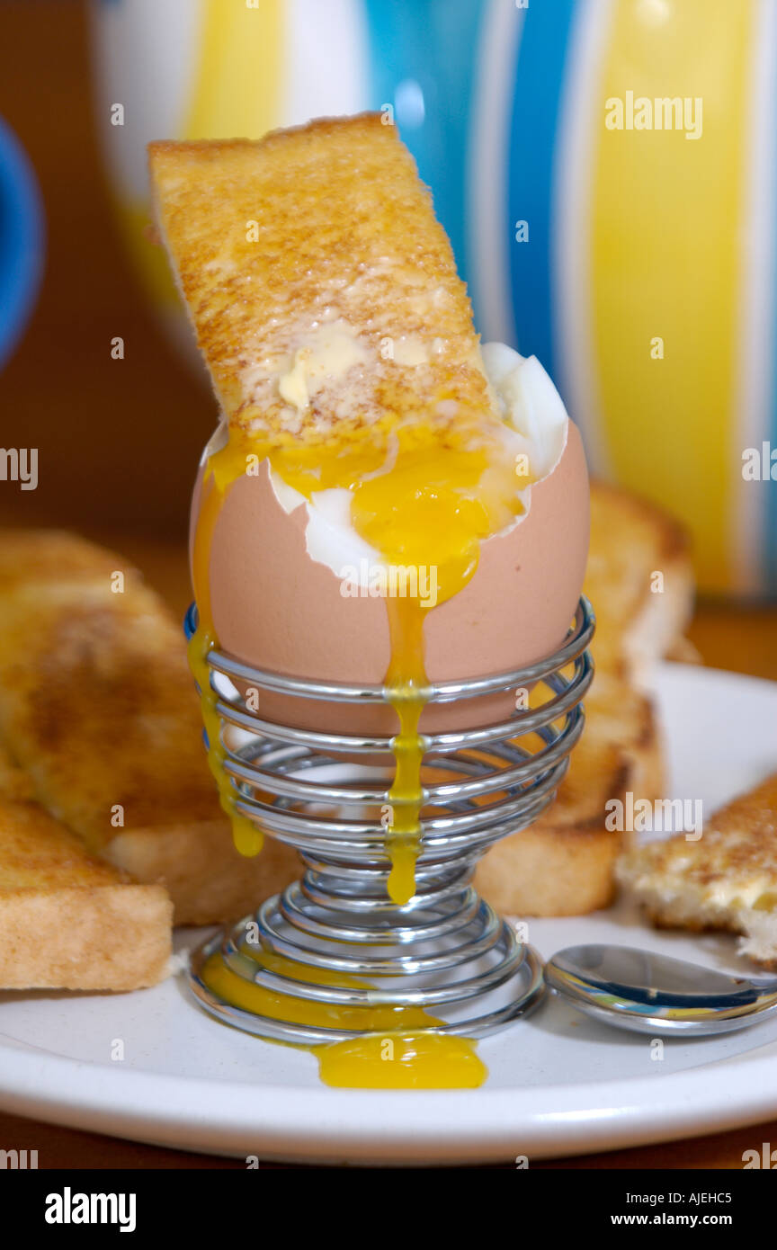 BOILED EGG WITH TOASTED SOLDIER Stock Photo Alamy