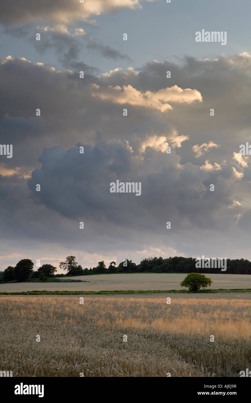 landscape farm land Stock Photo - Alamy
