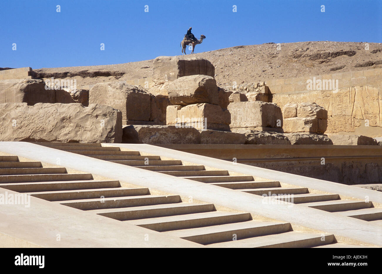 Man on Camel in Front of The Temple of Seti I in Abydos Stock Photo