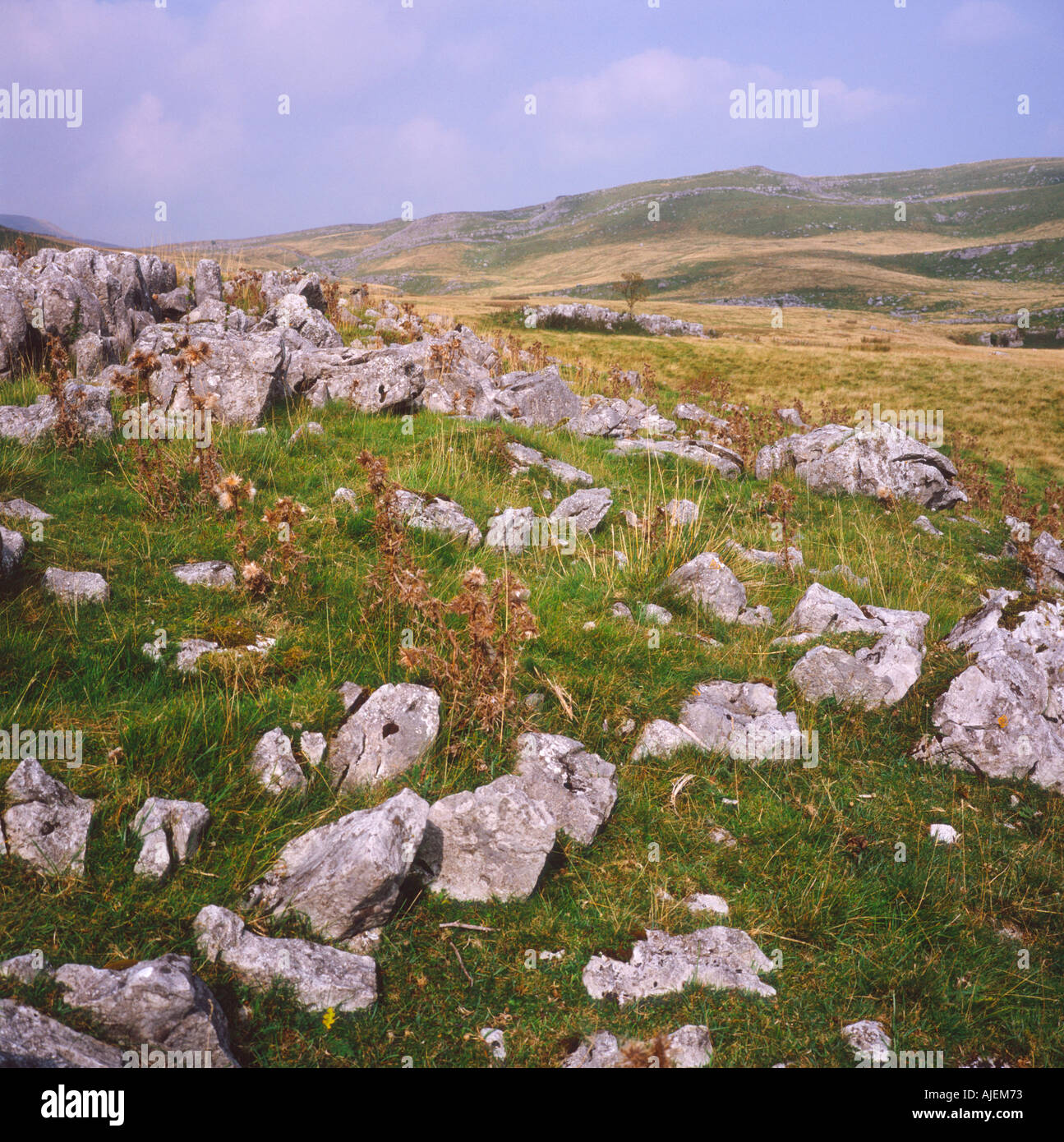 Upland limestone scenery Yorkshire Dales national park England Stock