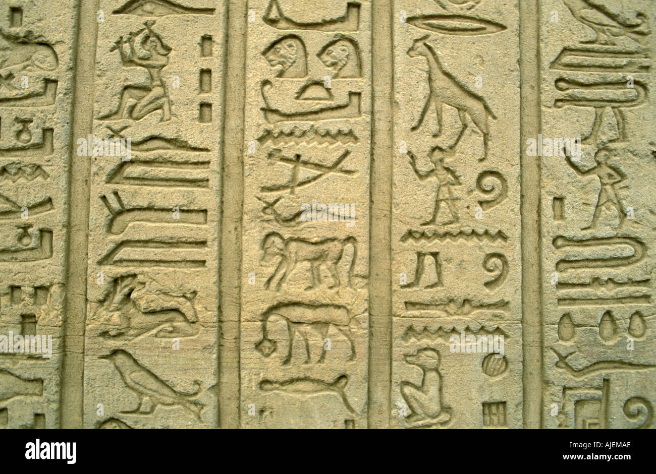 Kom Ombo temple hieroglyphs Stock Photo