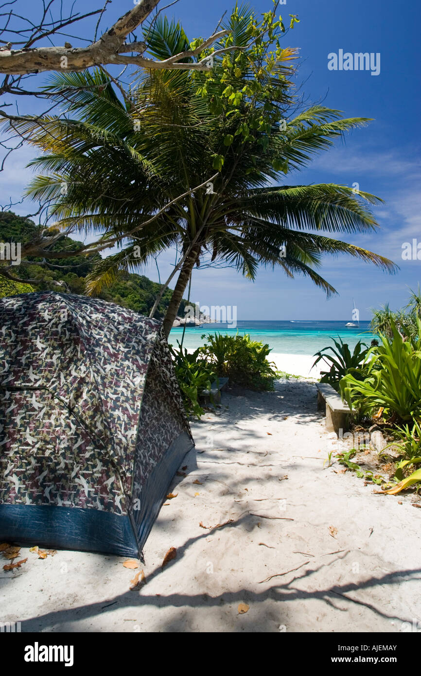 Fixed tent beach camping allowed on Similan Island Ko 8 Similan Islands