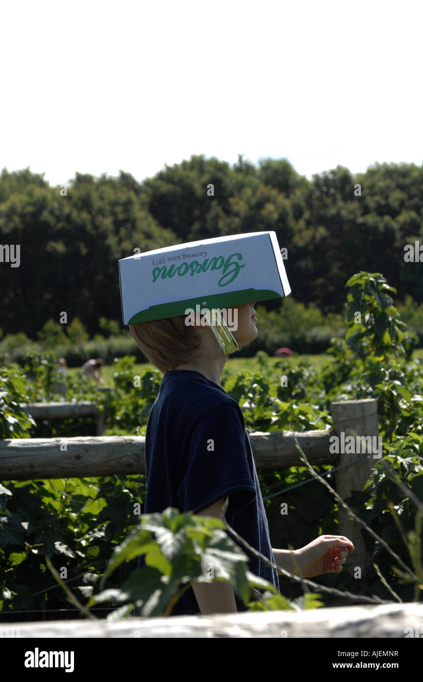 Pick Your Own Stock Photo Alamy