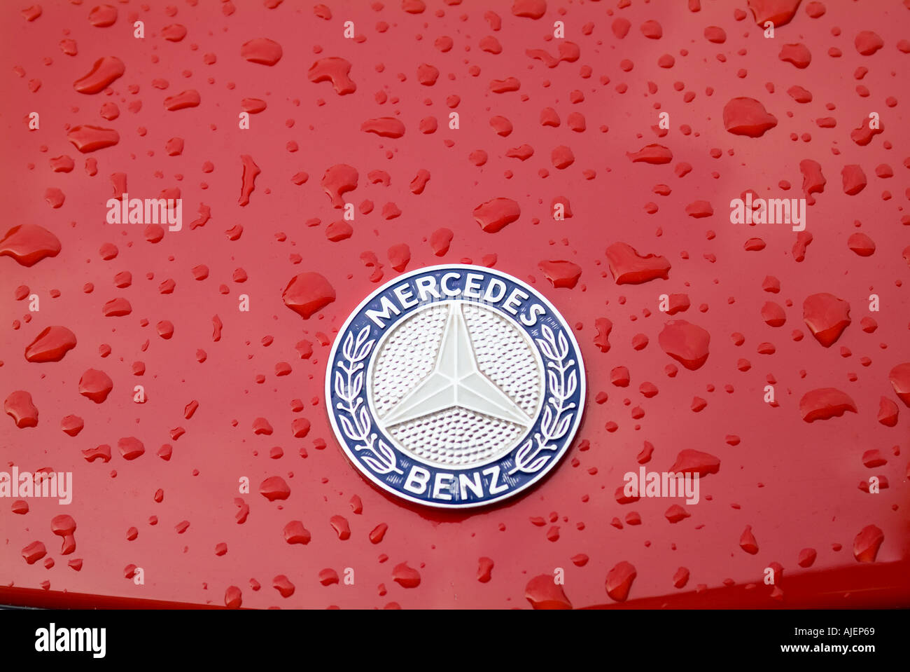 raindrops on the hood of a mercedes car Stock Photo
