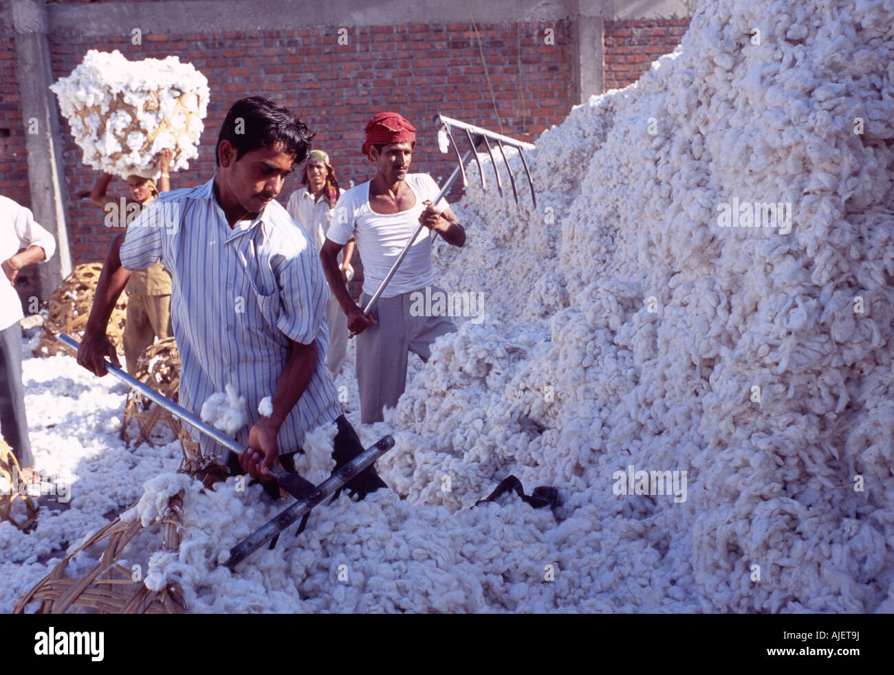 workers in cotton mill, Gujarat, India Stock Photo Alamy