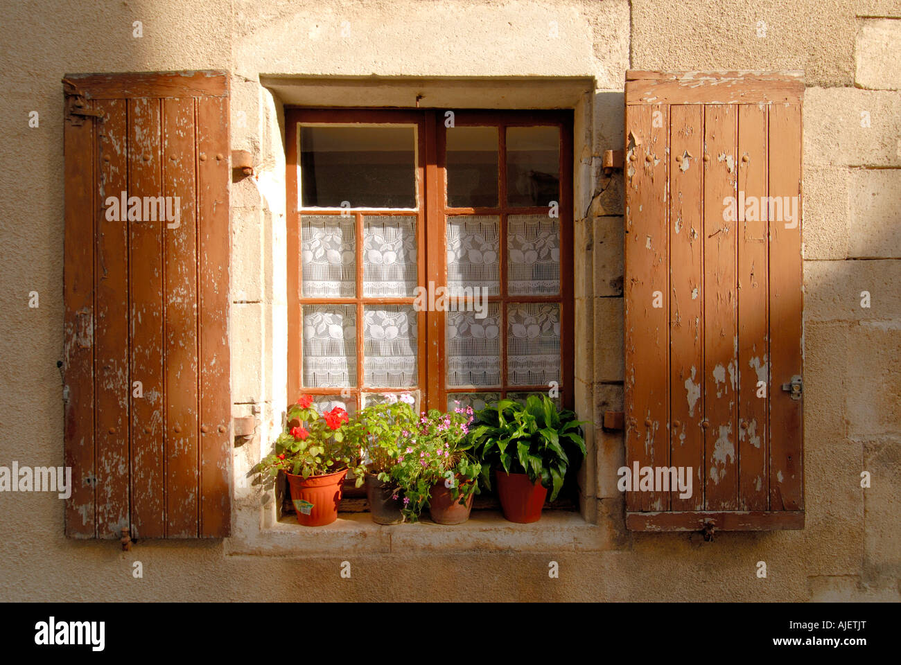 Potted plants and window shutters, Montmorillon, Vienne, France. Stock Photo